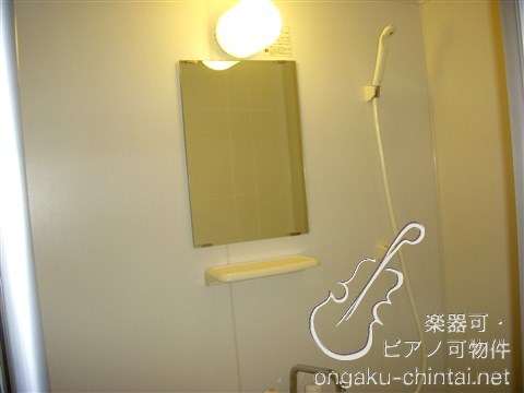 フェリシア新江古田 　10:00～22:00演奏可　武蔵野音楽大学　日本大学芸術学部 その他