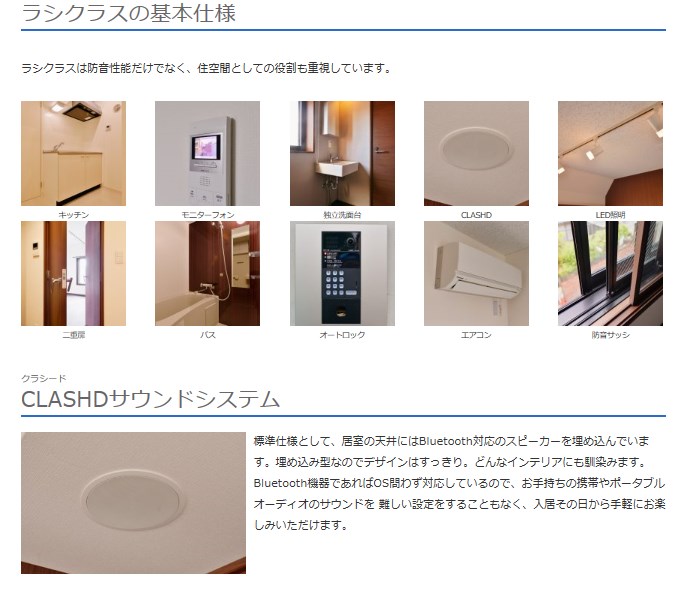ラシクラスカリビアンⅣ 24時間演奏可 その他