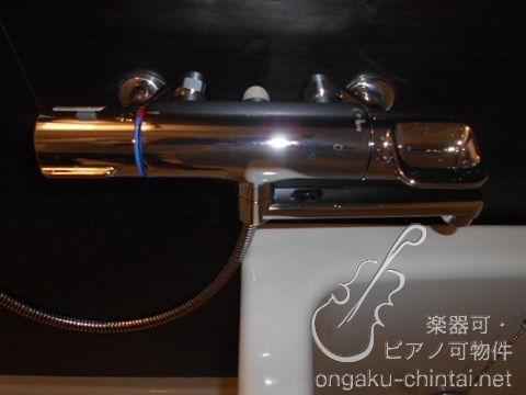 ミュージションひばりが丘北 24時間演奏可 武蔵野音楽大学　日本大学芸術学部 その他