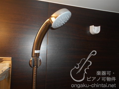 ミュージションひばりが丘北 24時間演奏可 武蔵野音楽大学　日本大学芸術学部 その他