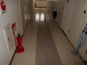 リエス新江古田 24時間演奏可　武蔵野音楽大学　日本大学芸術学部 その他