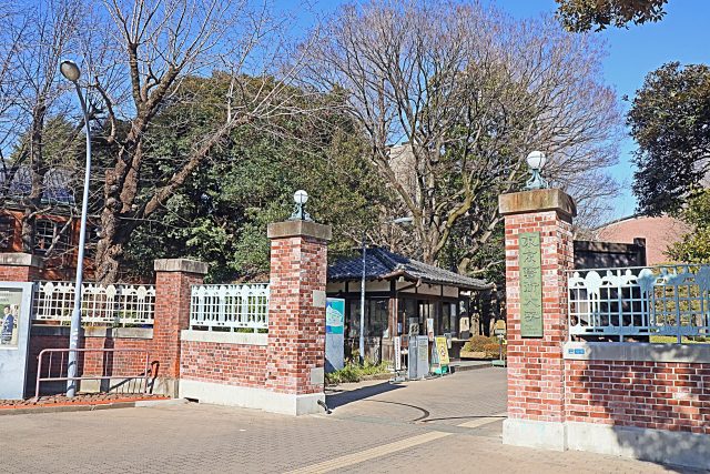 東京芸術大学にまつわるお話しとは・・・？
