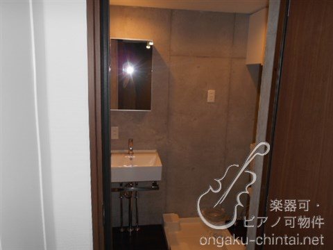 ラシクラス板橋　24時間演奏可  東京音楽大学　東京芸術大学 その他