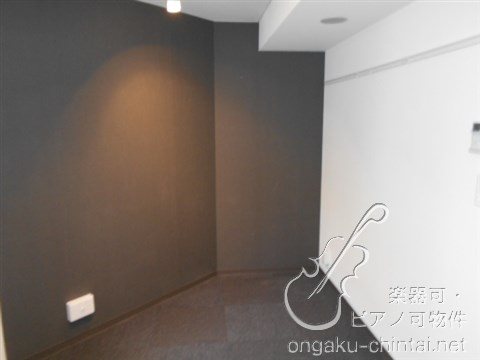 ラシクラス板橋　24時間演奏可  東京音楽大学　東京芸術大学 その他