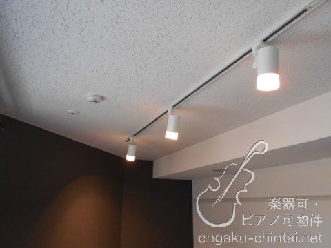 ラシクラス板橋　24時間演奏可  東京音楽大学　東京芸術大学 その他
