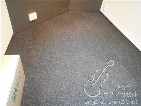 ラシクラス板橋　24時間演奏可  東京音楽大学　東京芸術大学 その他