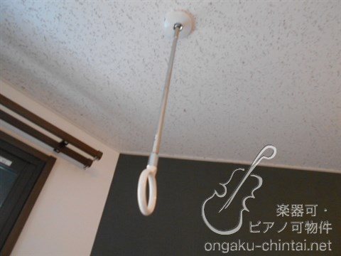 ラシクラス板橋　24時間演奏可  東京音楽大学　東京芸術大学 その他