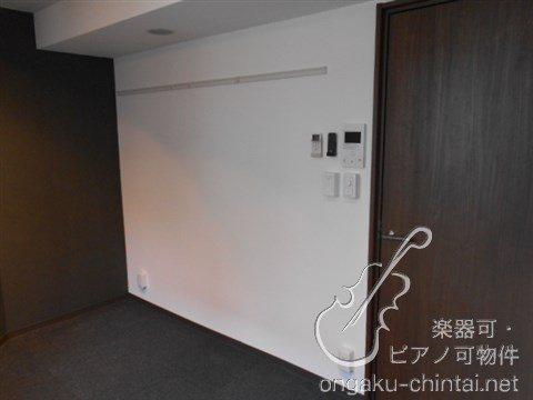 ラシクラス板橋　24時間演奏可  東京音楽大学　東京芸術大学 その他