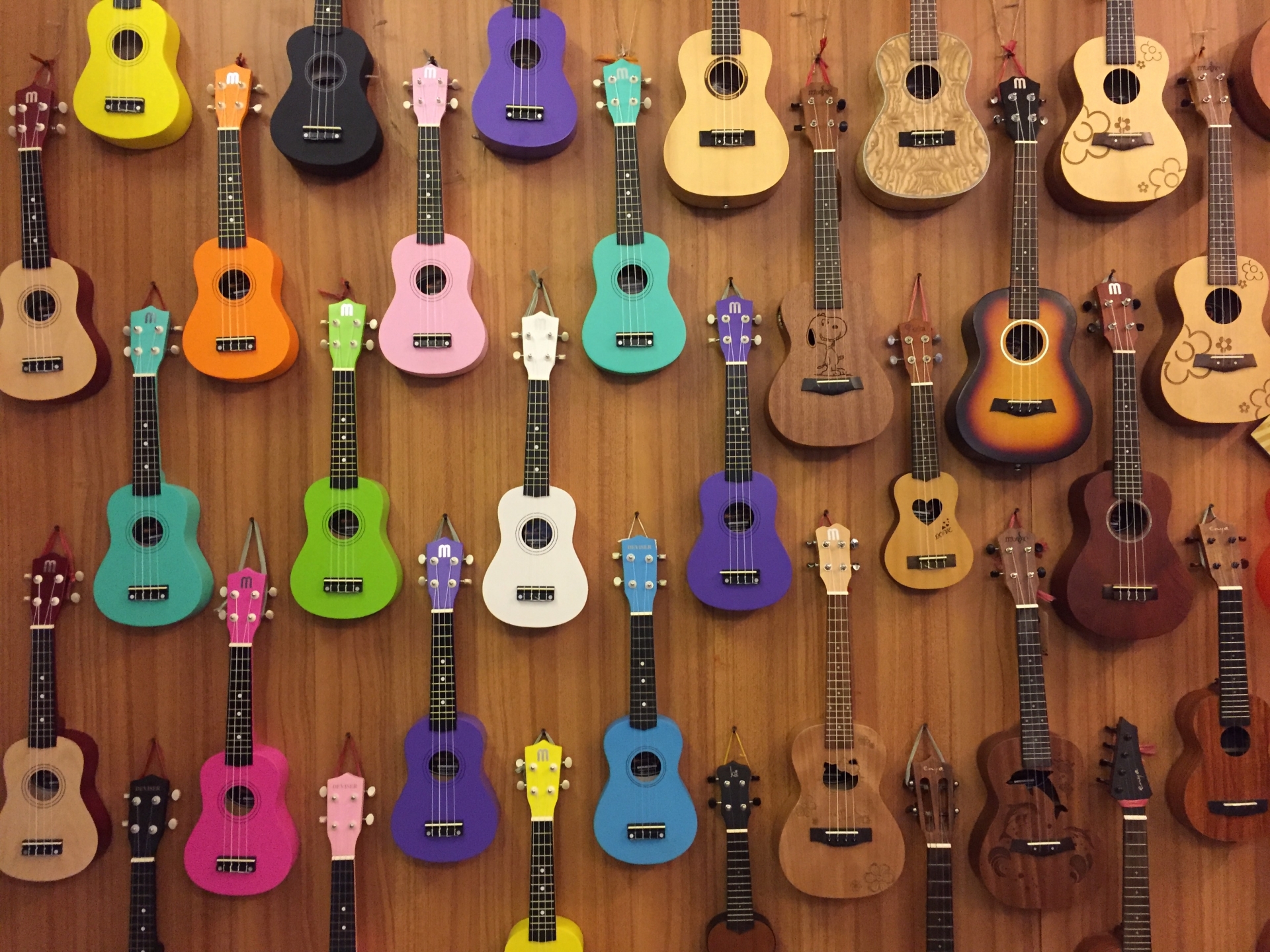 🎵 撥弦楽器シリーズ・1 🎵 ウクレレの歴史について教えて！ | ブログ