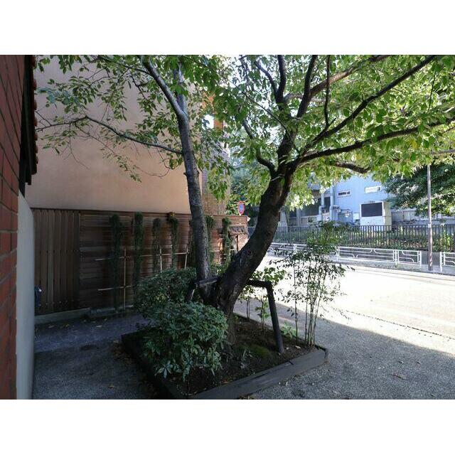 桜館 景色