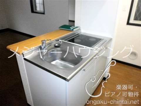 ポプラ倶楽部２３ 24時間演奏可 キッチン